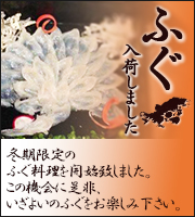 フグ入荷しました